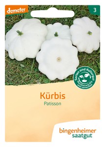 BIO Kürbis Patisson - Custard White