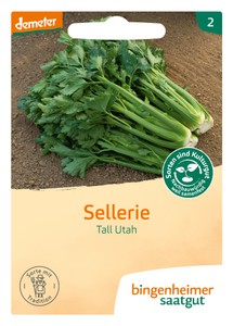 BIO Stangensellerie Tall Utah BIO Stangensellerie Tall Utah