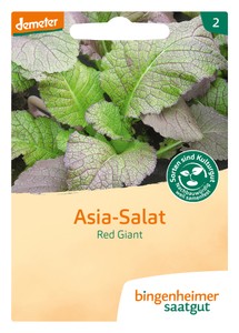 BIO Asia Salat Red Giant BIO Asia Salat Red Giant