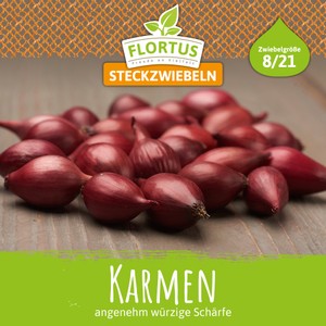 Steckzwiebel Karmen Steckzwiebel Karmen