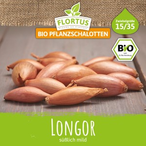 BIO Pflanzschalotte Longor