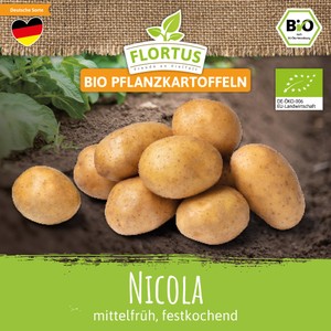 BIO Pflanzkartoffel Nicola (festkochend, mittelfrüh)