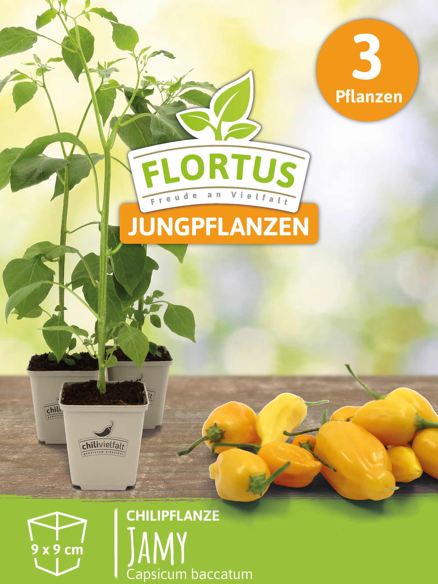 gießsystem zimmerpflanzen Designer Gießkanne 
