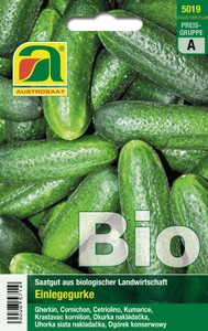 BIO Einlegegurke Vert petit de Paris BIO Einlegegurke Vert petit de Paris