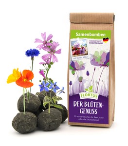Samenbomben Der Blütengenuss (6 Stück)
