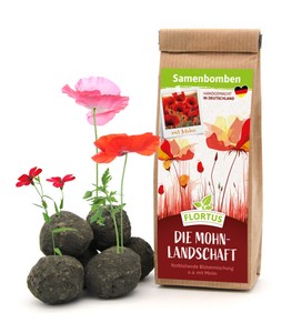 Samenbomben Die Mohnlandschaft (6 Stück)