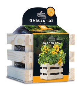 Garden Box Strauch Tomate Tumbling Tom gelb Garden Box Strauch Tomate Tumbling Tom gelb