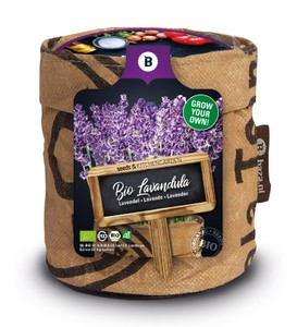 BIO Kitchengarden Lavendel