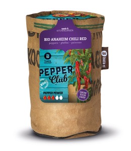 BIO Pepperclub Anaheim Chili Red BIO Pepperclub Anaheim Chili Red