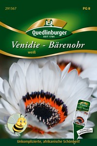 Venidie Weiß
