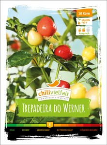Chili Trepadeira do Werner