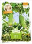 Schwammgurke Luffa