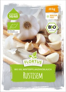 FLORTUS Winterpflanzknoblauch Messidrome - 250g Steckzwiebeln 40-50mm Für Garten & Hochbeet