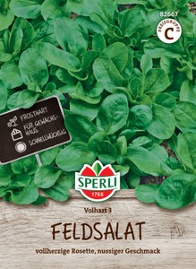 Feldsalat Vollhart 3