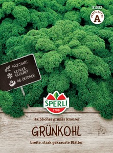 Grünkohl Halbhoher grüner krauser
