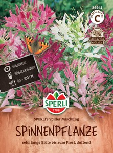 Spinnenpflanze Mischung