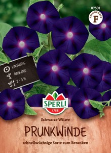 Prunkwinde Schwarze Witwe [MHD 01/2024]
