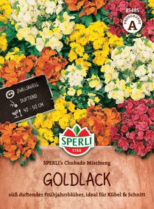 Goldlack Chupado Mischung