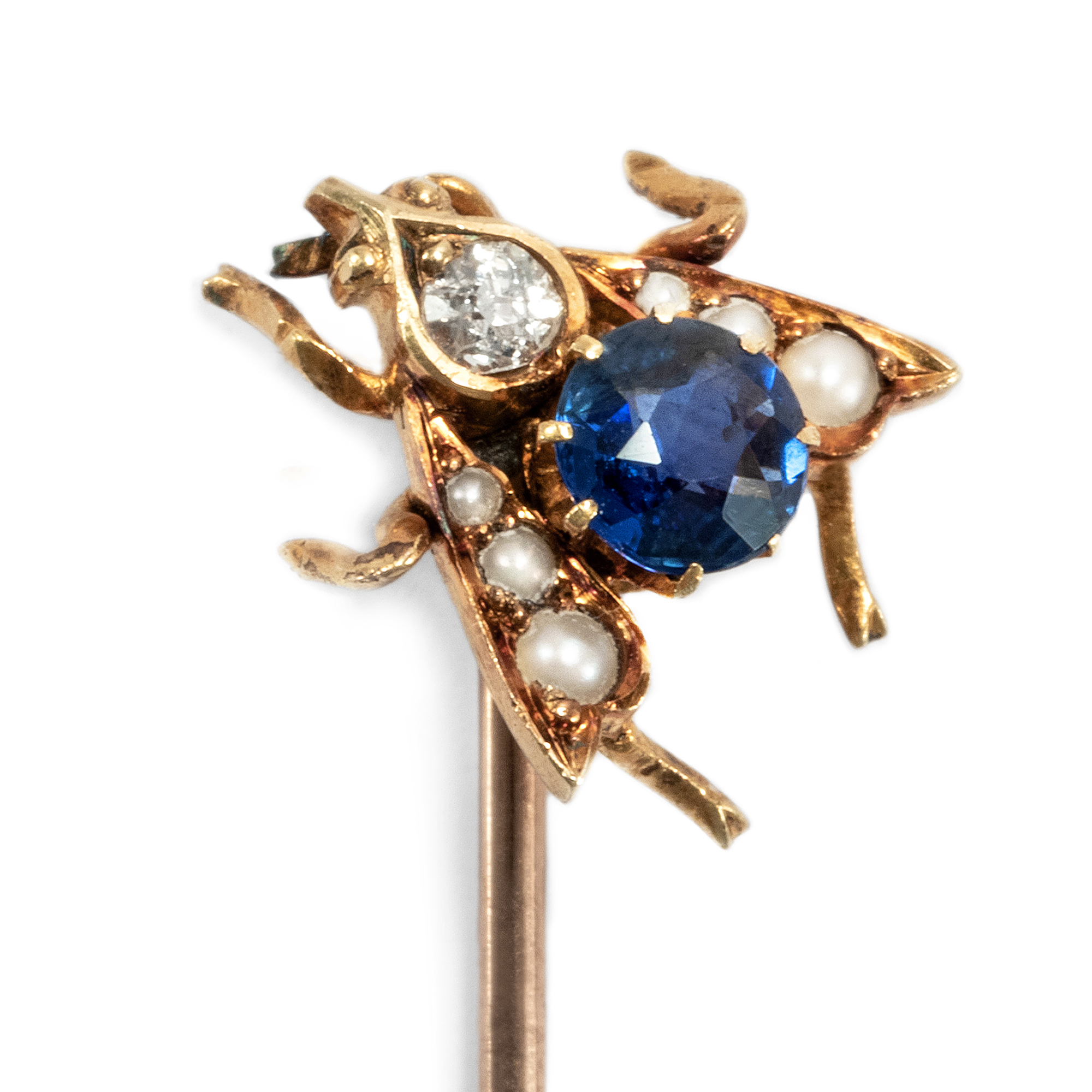 Text Du Kleine Fliege Wenn Ich Dich Kriege Um 1890: Antike Reversnadel, Fliege in Gold Saphir Diamant & Perle