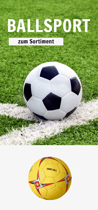 Ballsport Banner