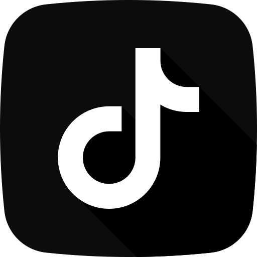 TikTok Icon