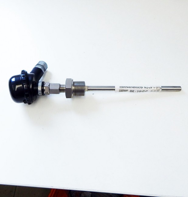 Endress & Hauser TR12-A7E3SD4B0000& TMT180-A11-20 2 x PT100 280mm ...