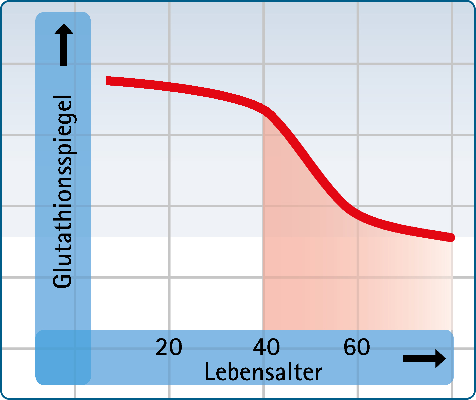 Glutathionspiegel