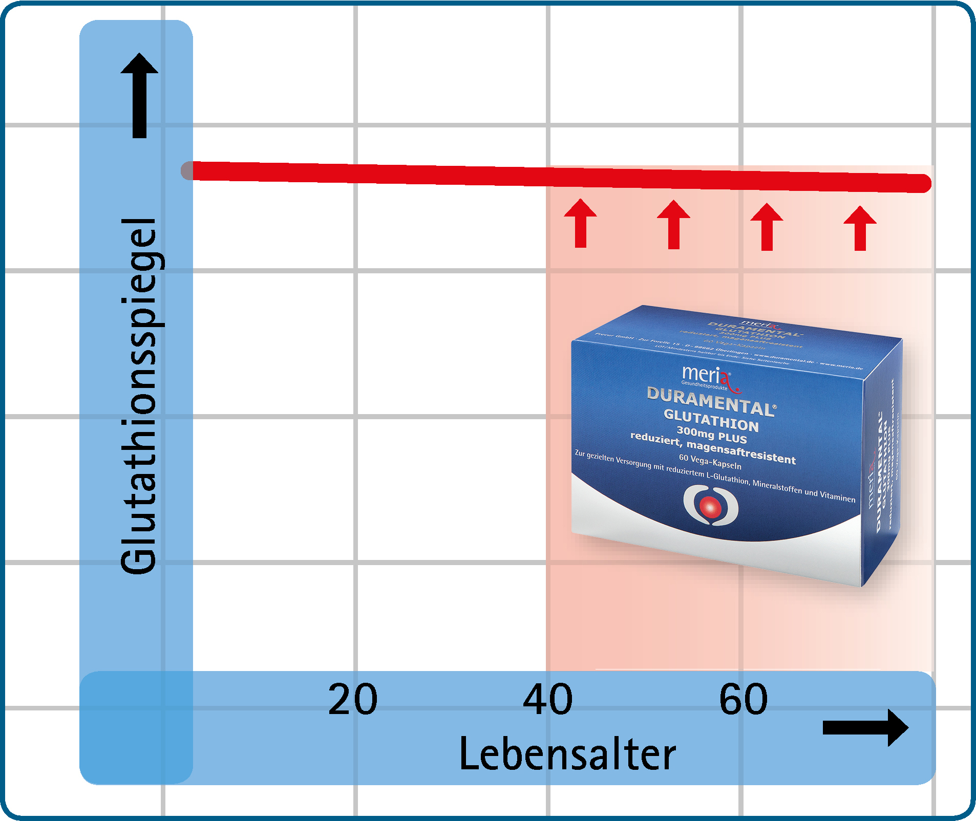 Glutathionspiegel