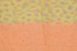 loopschal-sterne-lsg11-innen2-orangegelb.jpg loopschal-sterne-lsg11-innen2-orangegelb.jpg