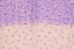 loopschal-sterne-lsg11-innen2-rosaviolett.jpg loopschal-sterne-lsg11-innen2-rosaviolett.jpg