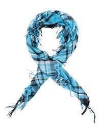 schal-palituch-glitzerfaeden-ws91-hellblau-innen2.jpg schal-palituch-glitzerfaeden-ws91-hellblau-innen2.jpg