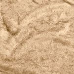 Pannesamt - Samppanja kulta