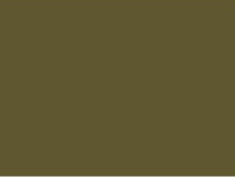 Madeira Maschinenstickgarn Polyneon - 400m - Army Green 1796