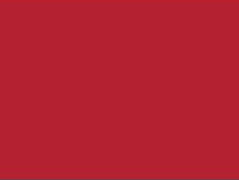 Madeira Maschinenstickgarn Polyneon - 400m - Poppy Red 1838