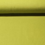 Sweat Andrea - Hellgrün angeraut