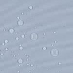 Látka na batoh a tašku - baby blue