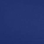 Jersey - Kungsblå 970