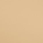 Jersey - Champagne 530