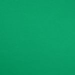 Jersey - Grass green 250