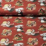 Jersey - Digitaldruck Kung Fu Panda Rost