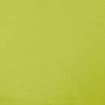 Baumwolle Romanit Jersey - Lime