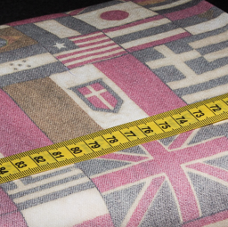 Jeans Flaggen Pink