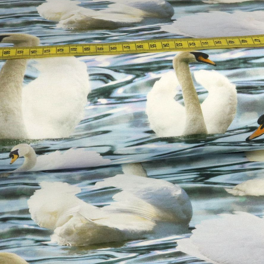 Jersey Schwäne Digital Jersey Schwäne Digital