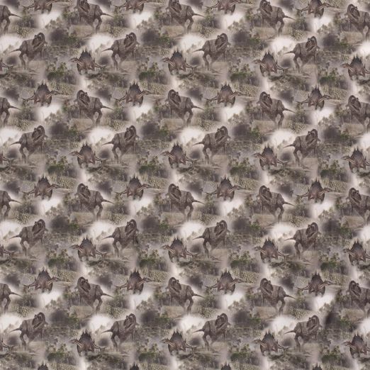 Softshell Dinos im Nebel Innen Schwarz Digital Softshell Dinos im Nebel Innen Schwarz Digital