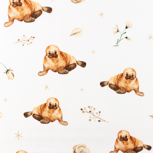 Baumwolle Robbenbabys auf Weiß Digital Baumwolle Robbenbabys auf Weiß Digital