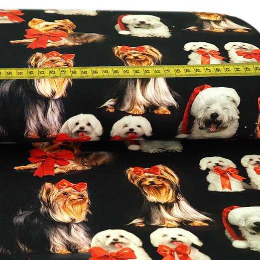 Jersey Christmasdogs Digital Jersey Christmasdogs Digital