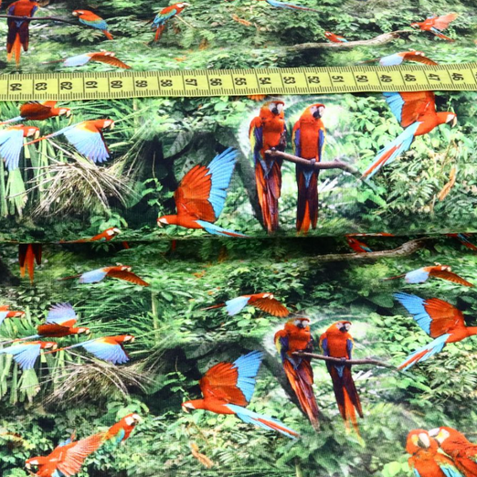 Jersey Print Parrots Digital