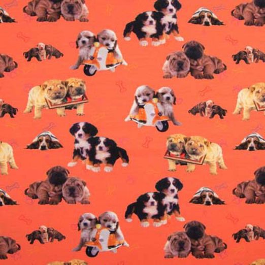 Jersey Hunderassen Orange Digital Jersey Hunderassen Orange Digital