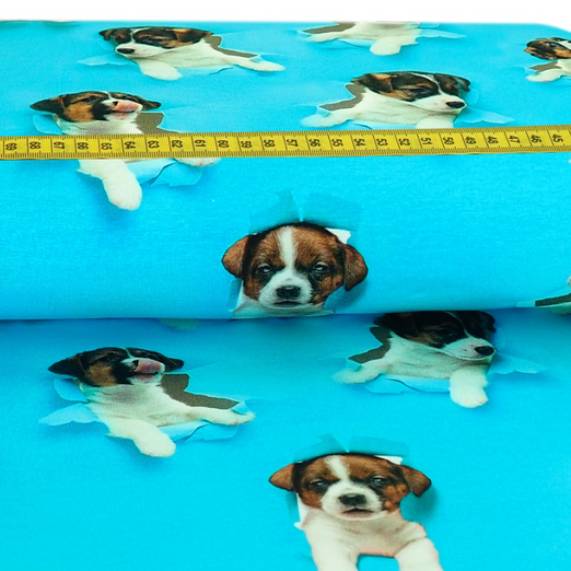 Jersey Puppies auf Aqua Digital Jersey Puppies auf Aqua Digital