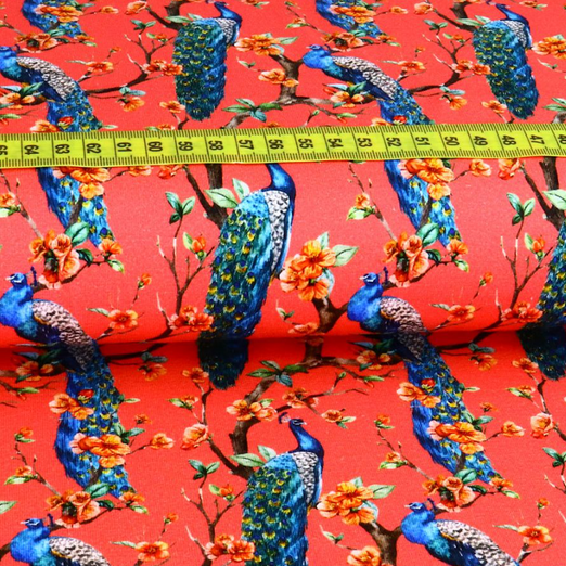 Jersey Pfau Koralle Digital Jersey Pfau Koralle Digital
